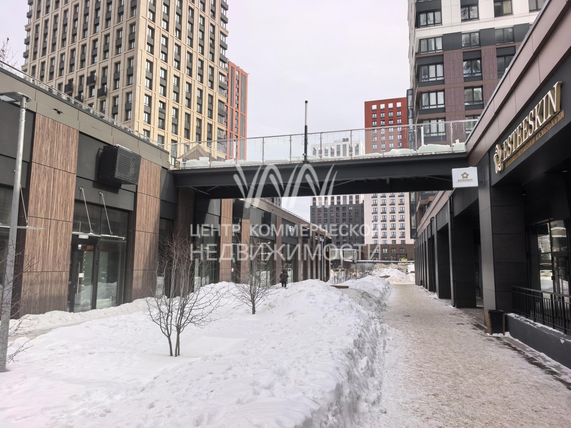 Объект 133981 Планета