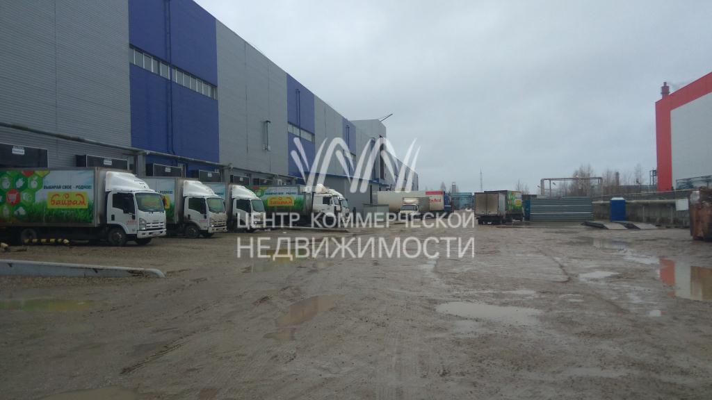 Объект 136281 Шакша